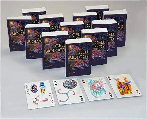 Cell Biology Playing Cards: Cell Biology Playing Cards: Art Cards Box of 12 Decks (Bulk) (Netter Basic Science)