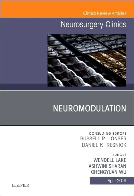 Neuromodulation, An Issue of Neurosurgery Clinics of North America (Volume 30-2) (The Clinics: Surgery, Volume 30-2)