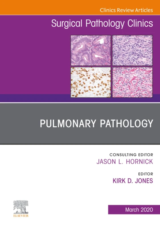 Pulmonary Pathology, An Issue of Surgical Pathology Clinics: Volume 13-1 (The Clinics: Surgery, Volume 13-1)