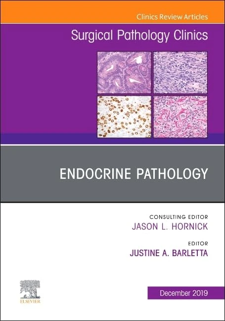 Endocrine Pathology, An Issue of Surgical Pathology Clinics (Volume 12-4) (The Clinics: Surgery, Volume 12-4)