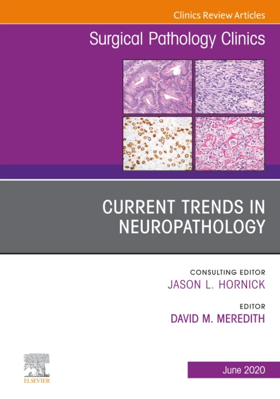 Current Trends in Neuropathology, An Issue of Surgical Pathology Clinics: Volume 13-2 (The Clinics: Surgery, Volume 13-2)