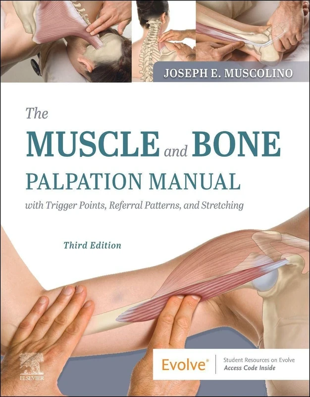 The Muscle and Bone Palpation Manual with Trigger Points, Referral Patterns and Stretching - Image 1