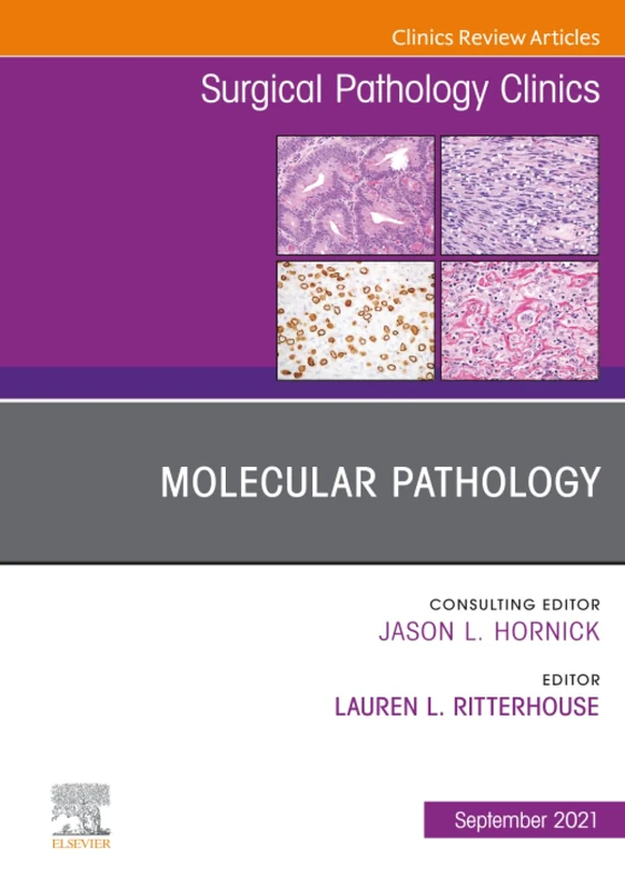 Molecular Pathology, An Issue of Surgical Pathology Clinics: Volume 14-3 (The Clinics: Surgery, Volume 14-3)