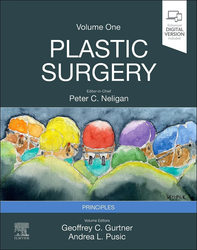 Plastic Surgery: Volume 1: Principles
