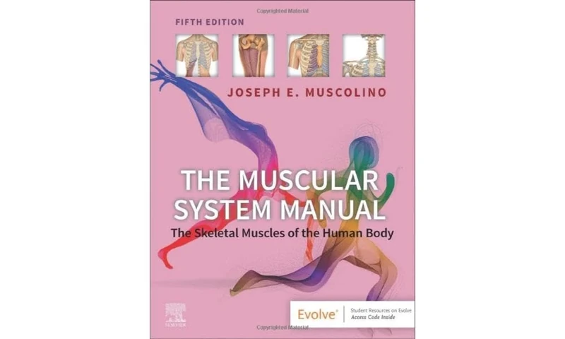 The Muscular System Manual: The Skeletal Muscles of the Human Body