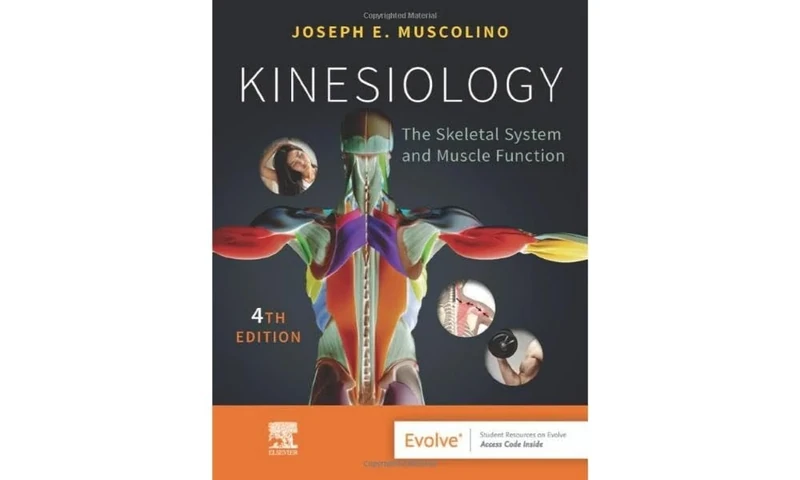 Kinesiology: The Skeletal System and Muscle Function