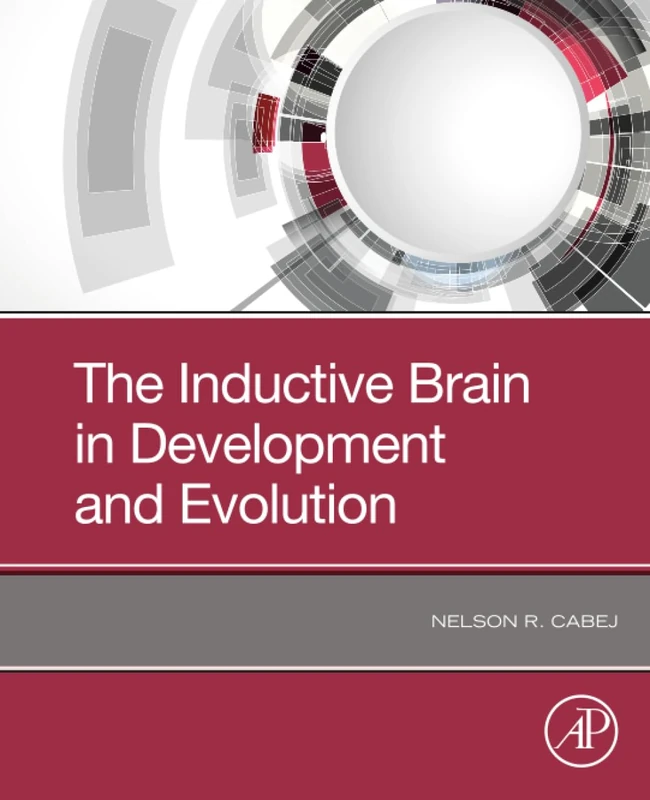 The Inductive Brain in Development and Evolution