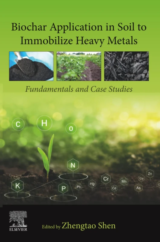 Biochar Application in Soil to Immobilize Heavy Metals: Fundamentals and Case Studies