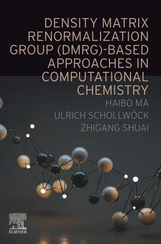 Elsevier DMRG-based Approaches in Computational Chemistry