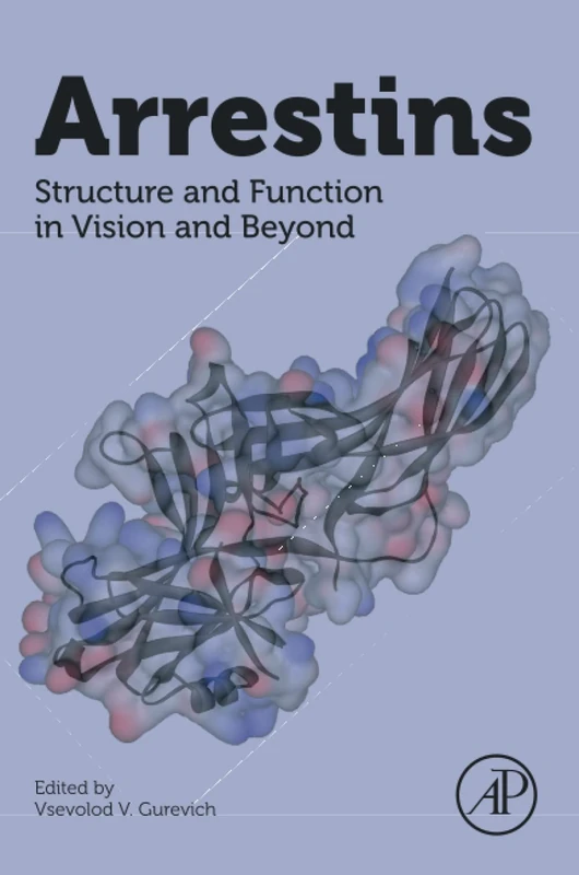 Arrestins: Structure and Function in Vision and Beyond