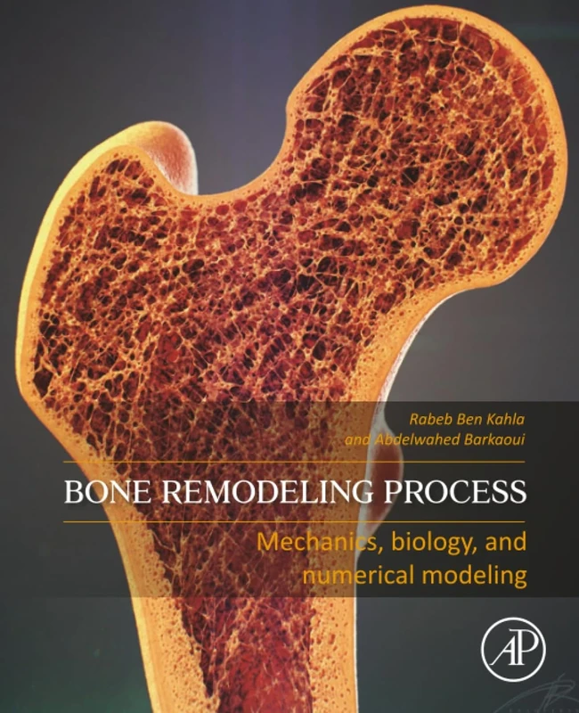 Bone Remodeling Process: Mechanics, Biology, and Numerical Modeling