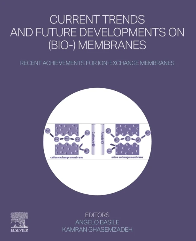 Current Trends and Future Developments on (Bio-) Membranes: Recent Achievements for Ion-Exchange Membranes