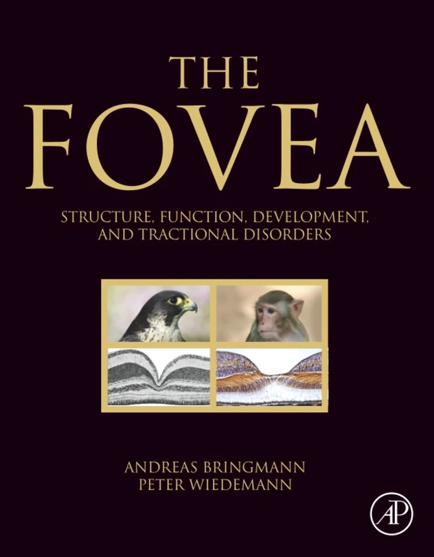 The Fovea: Structure, Function, Development, and Tractional Disorders - Image 1