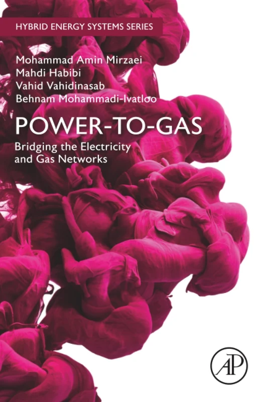 Power-to-Gas: Bridging the Electricity and Gas Networks (Hybrid Energy Systems)