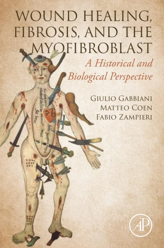 WOUND HEALING, FIBROSIS, AND THE MYOFIBROBLAST: A Historical and Biological Perspective - Image 1
