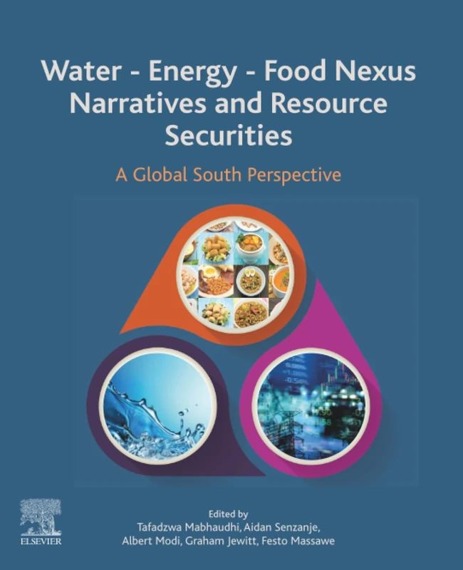 Water - Energy - Food Nexus Narratives and Resource Securities: A Global South Perspective