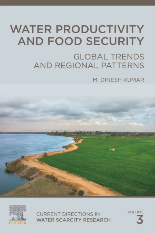 Water Productivity and Food Security: Global Trends and Regional Patterns: Volume 3 (Current Directions in Water Scarcity Research, Volume 3)