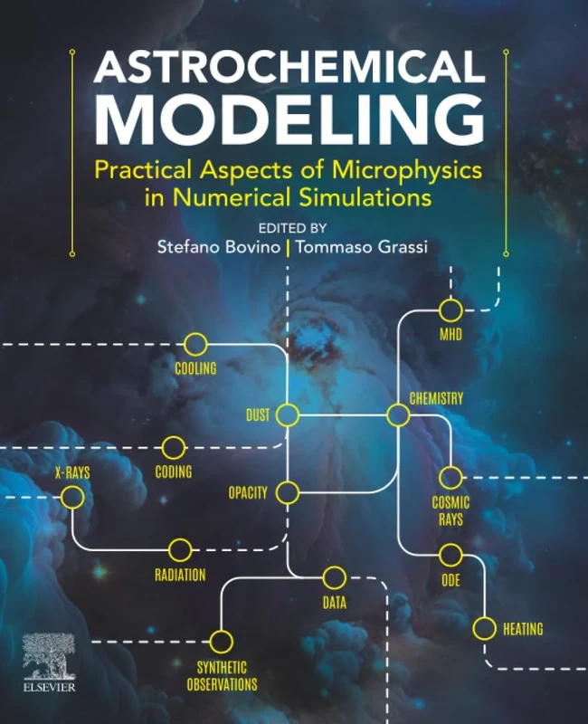 Astrochemical Modeling: Practical Aspects of Microphysics in Numerical Simulations