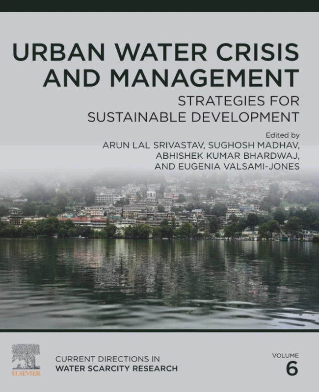 Urban Water Crisis and Management: Strategies for Sustainable Development: Volume 6 (Current Directions in Water Scarcity Research, Volume 6)