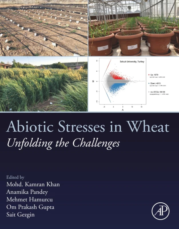 Abiotic Stresses in Wheat: Unfolding the Challenges - Academic Press