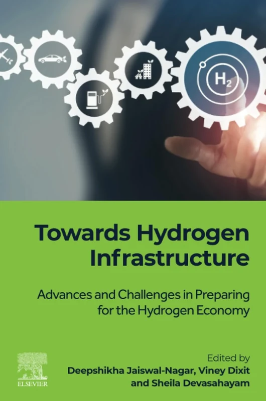 Towards Hydrogen Infrastructure: Advances and Challenges in Preparing for the Hydrogen Economy