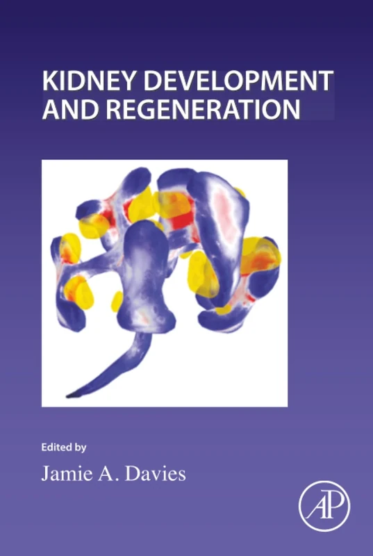 Kidney Development and Regeneration: Volume 163 (Current Topics in Developmental Biology, Volume 163)