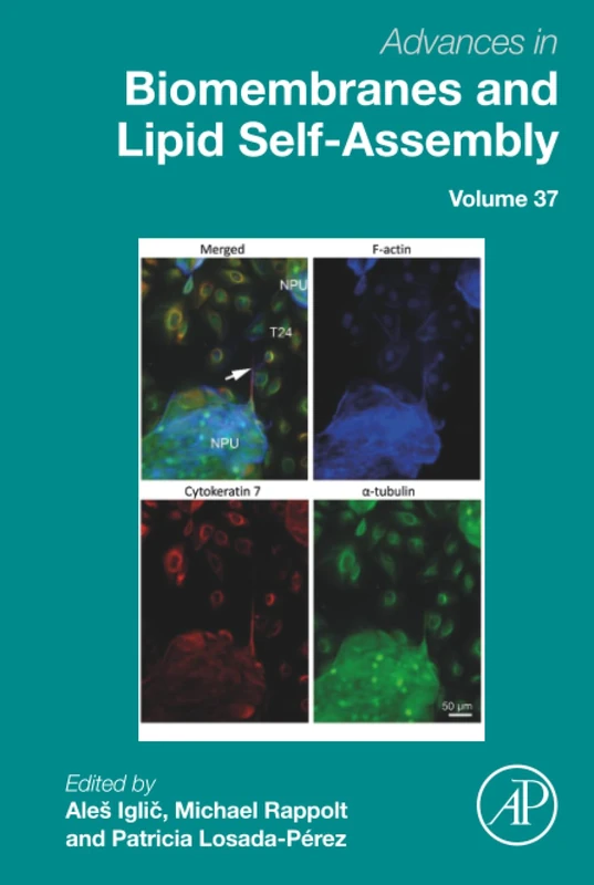 Advances in Biomembranes and Lipid Self-Assembly: Volume 37