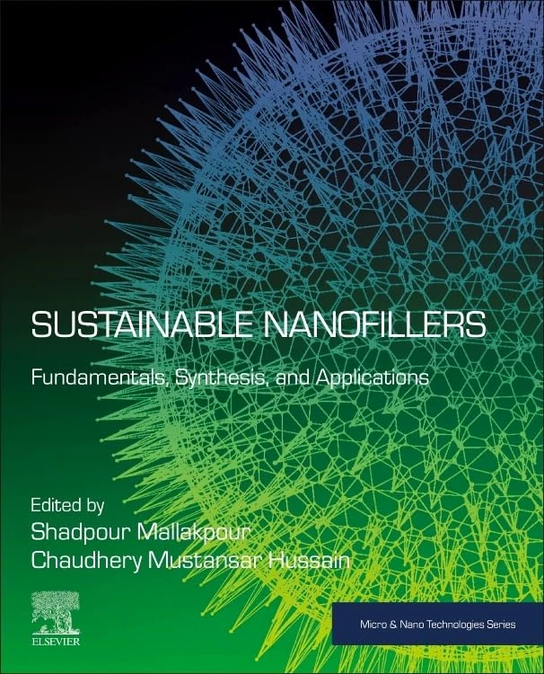 Sustainable Nanofillers: Fundamentals, Synthesis, and Applications (Micro and Nano Technologies)