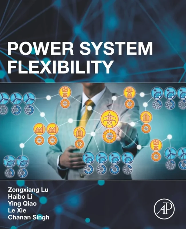 Power System Flexibility