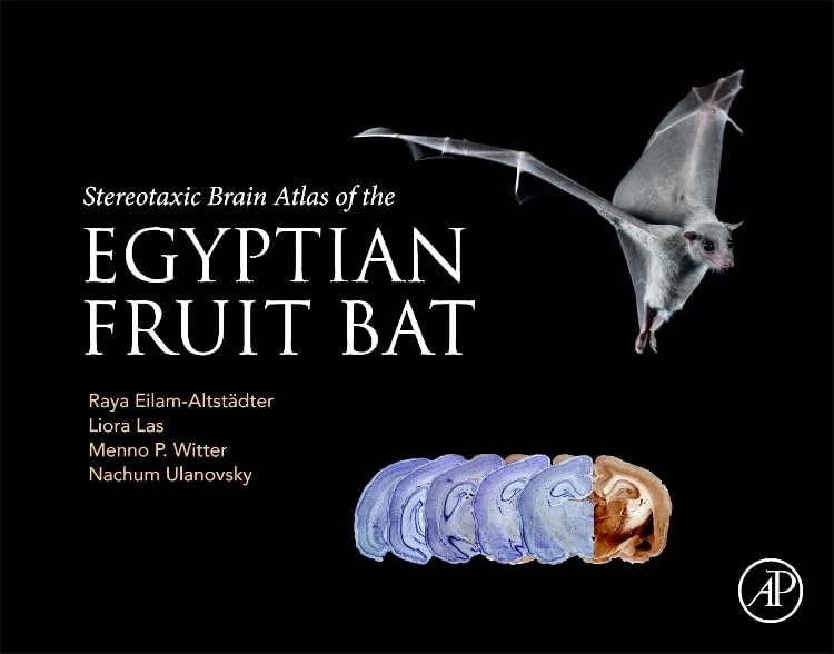 Stereotaxic Brain Atlas of the Egyptian Fruit Bat - Image 1