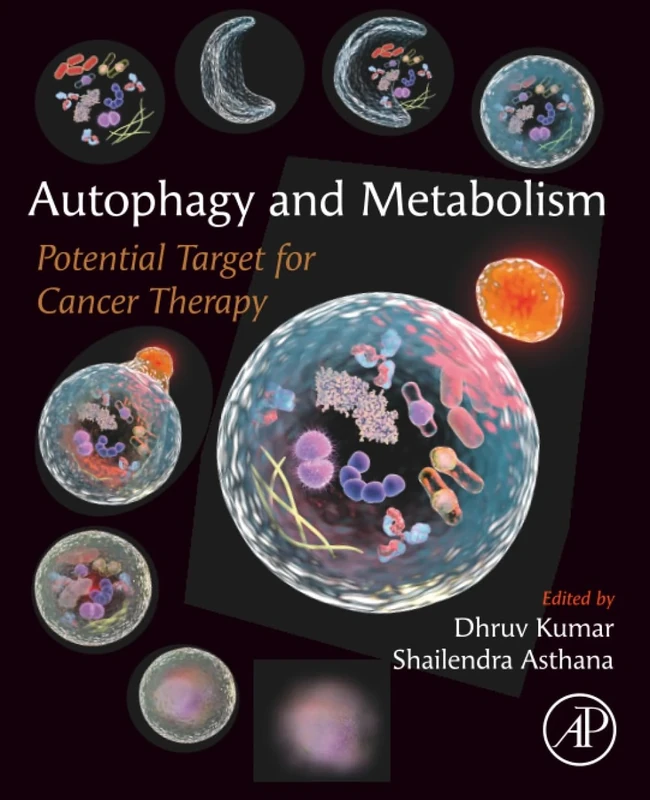 Autophagy and Metabolism: Potential Target for Cancer Therapy