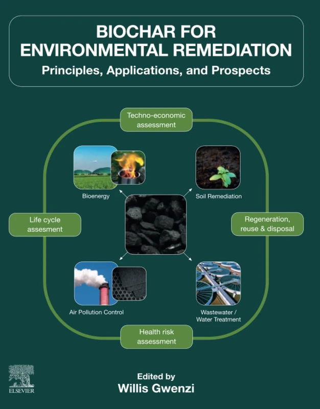 Biochar for Environmental Remediation: Principles, Applications, and Prospects