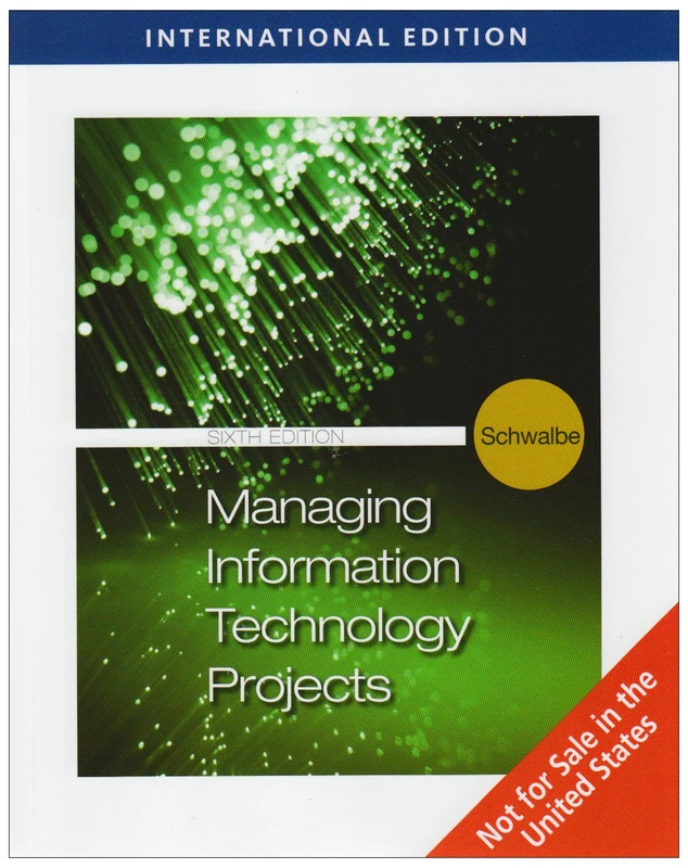 Information Technology Project Management