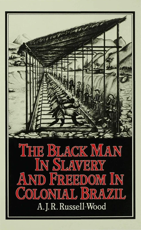 The Black Man in Slavery and Freedom in Colonial Brazil (St Antony's Series)