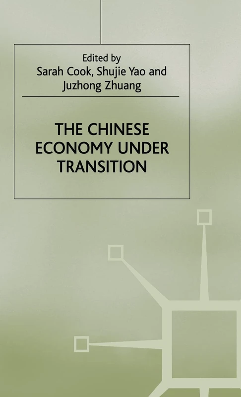 The Chinese Economy under Transition (Studies on the Chinese Economy)