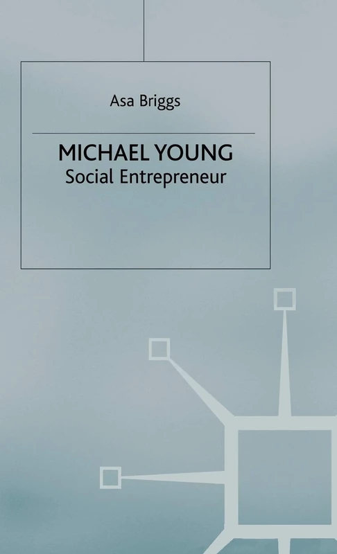 Michael Young: Social Entrepreneur - Image 1