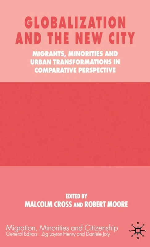 Globalization and the New City: Migrants, Minorities and Urban Transformations in Comparative Perspective (Practical Social Work Series)