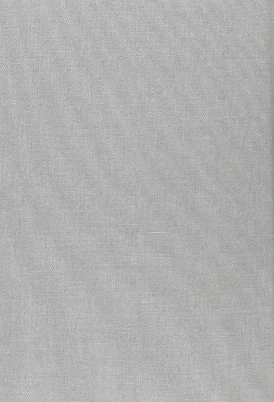 The Churches and the Third Reich: Vol 1. Preliminary History and the Time of Illusions, 1919-33 - Image 1