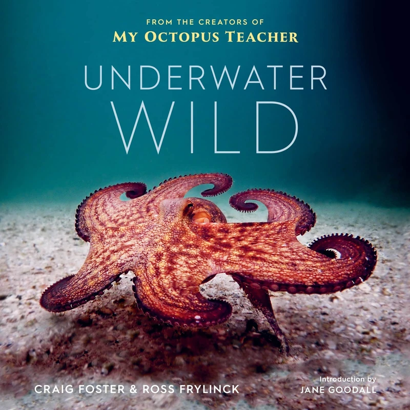 Underwater Wild: My Octopus Teacher's Extraordinary World - Image 1