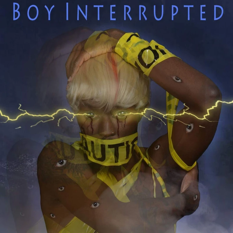 Boy Interrupted - Image 1