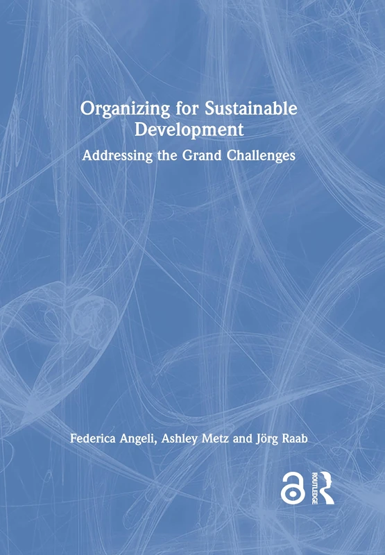 Routledge Organizing for Sustainable Development Book