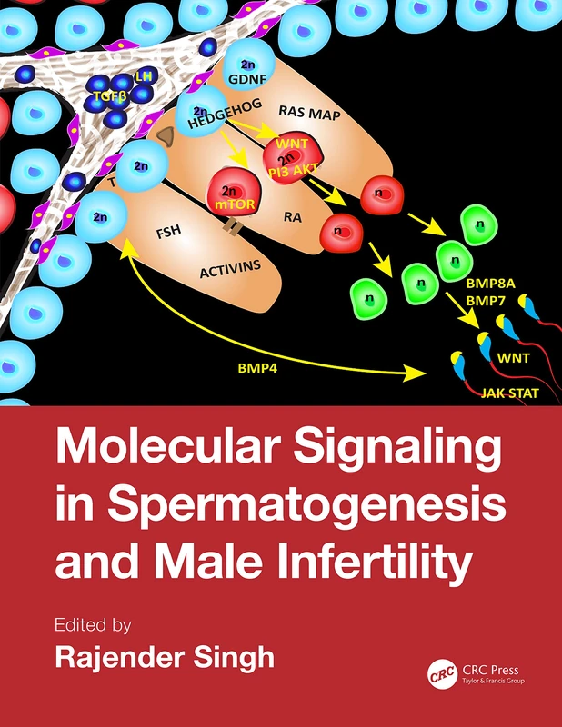CRC Press - Molecular Signaling in Spermatogenesis Book