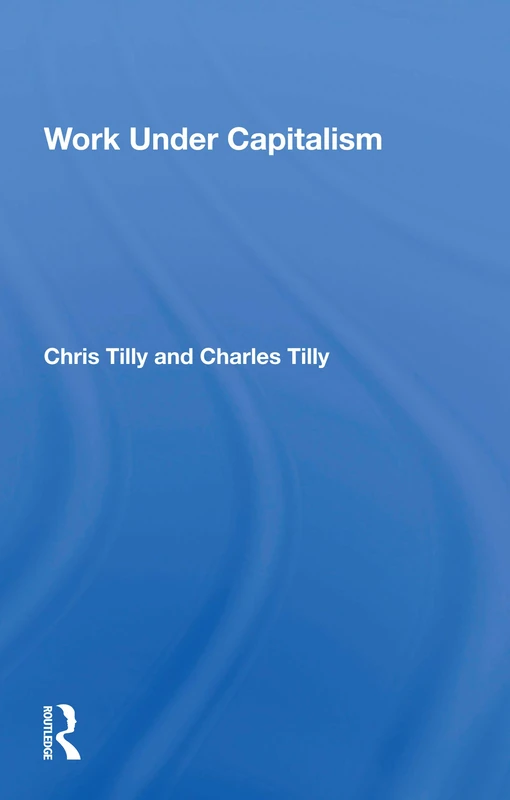 Work Under Capitalism (New Perspectives in Sociology)