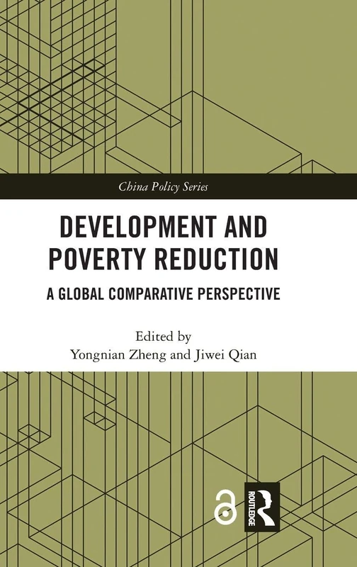Development and Poverty Reduction: A Global Comparative Perspective (China Policy Series)