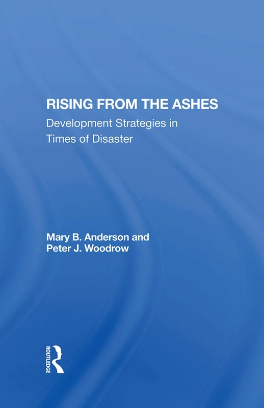 Rising From The Ashes: Development Strategies In Times Of Disaster - Image 1