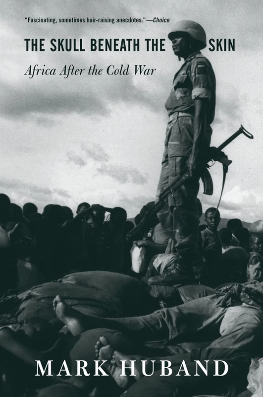 The Skull Beneath The Skin: Africa After The Cold War - Image 1