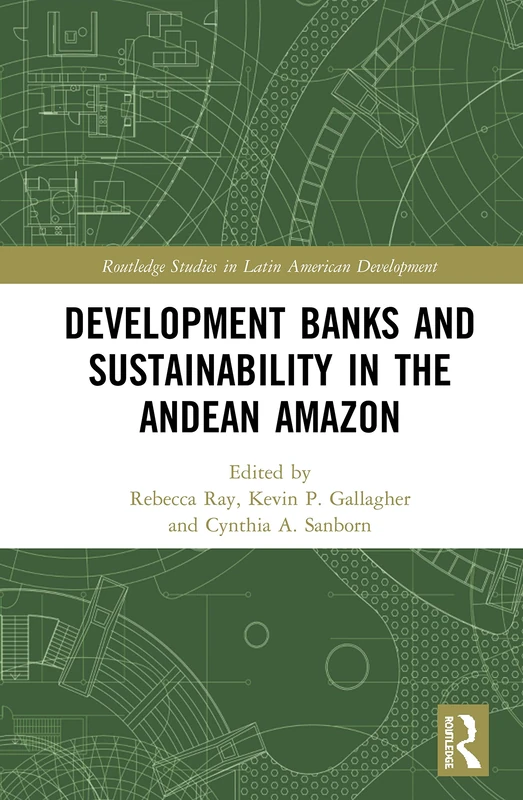 Development Banks and Sustainability in the Andean Amazon (Routledge Studies in Latin American Development)