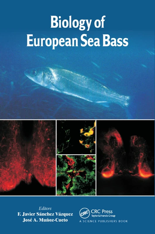 Biology of European Sea Bass - Image 1