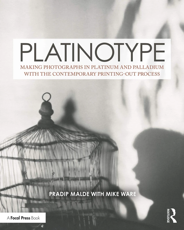 Platinotype: Making Photographs in Platinum and Palladium with the Contemporary Printing-out Process (Contemporary Practices in Alternative Process Photography)