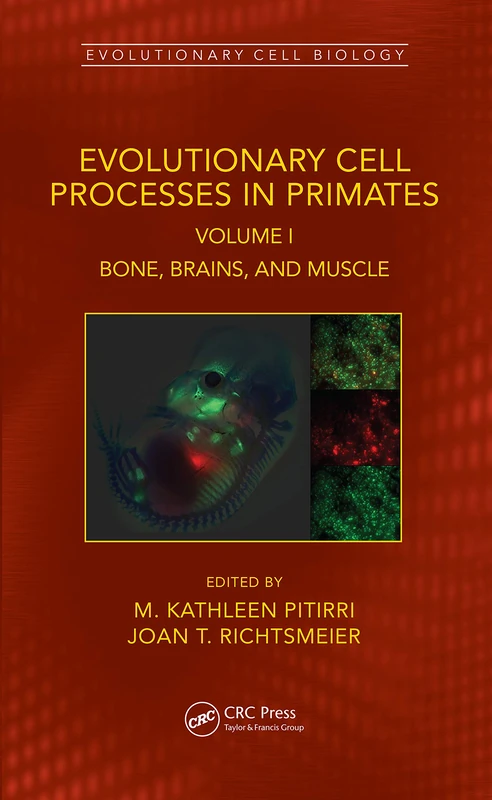 Evolutionary Cell Processes in Primates: Bone, Brains, and Muscle, Volume I: 1 (Evolutionary Cell Biology)